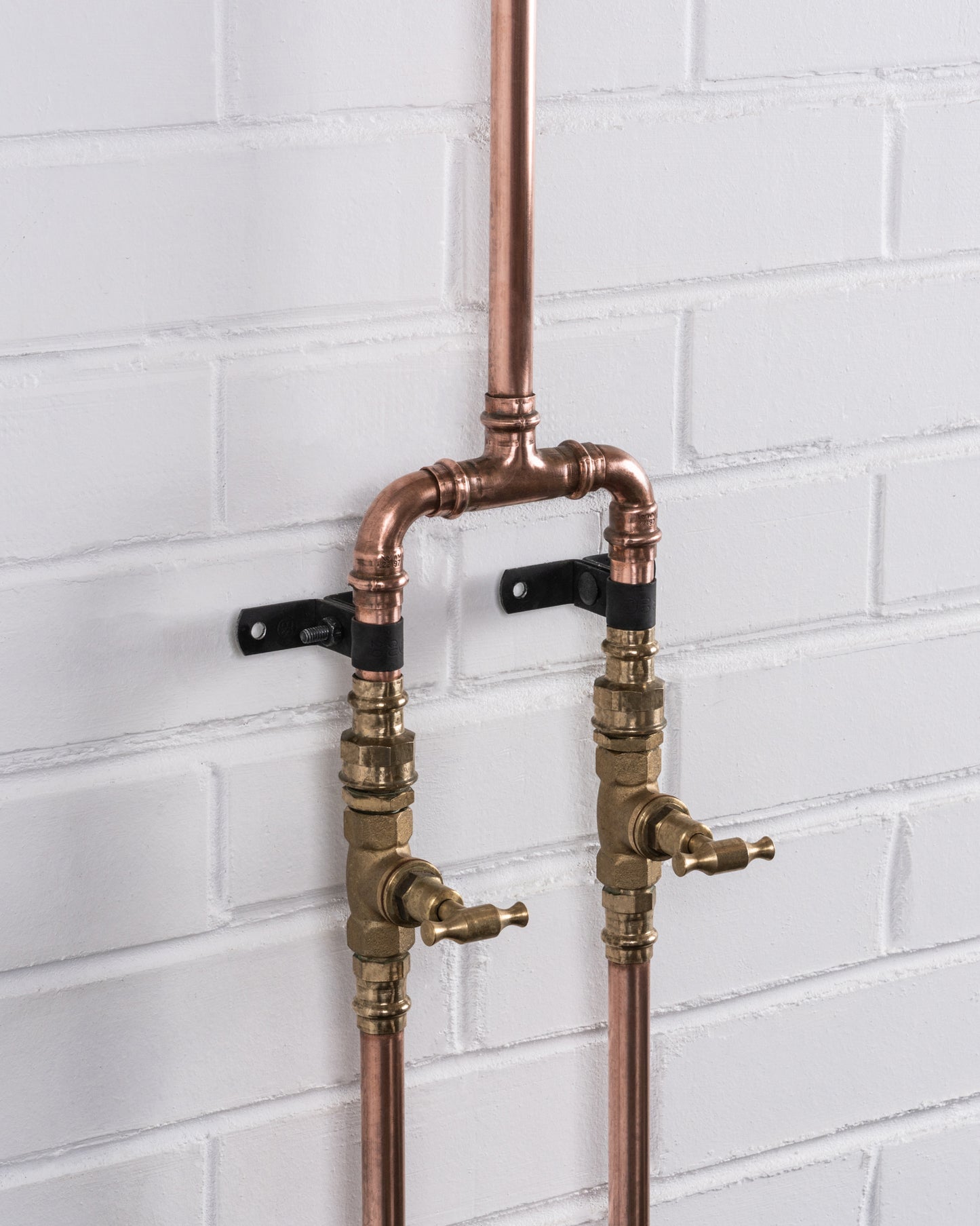 Dual Flow Shower (Hot & Cold)