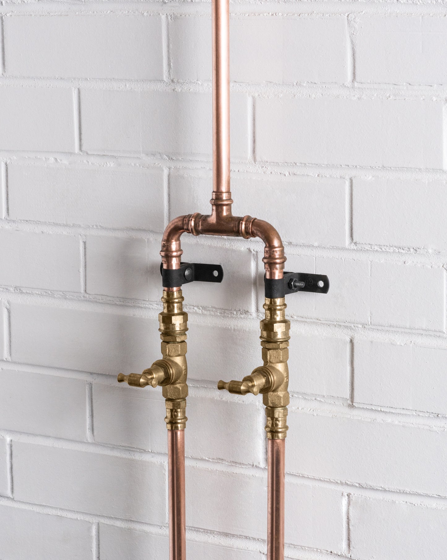 Dual Flow Shower (Hot & Cold)