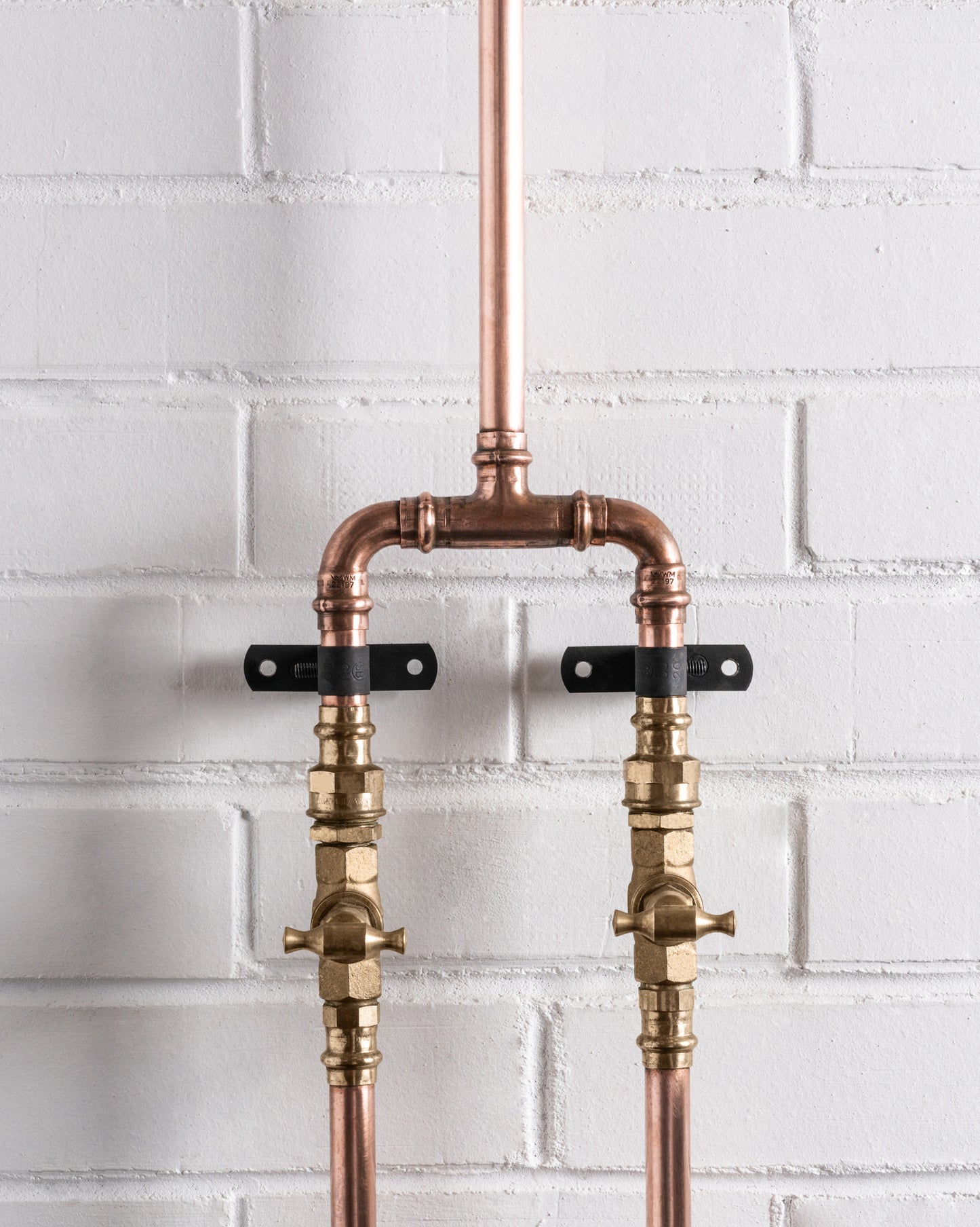 Dual Flow Shower (Hot & Cold)